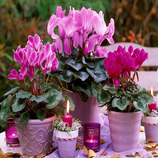 معرفی و تاریخچه برند ورساچه2